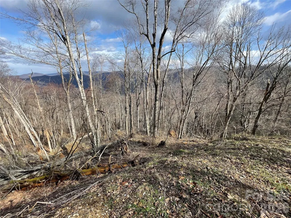 Lot #39 Ridge Top Circle Clyde, NC 28721