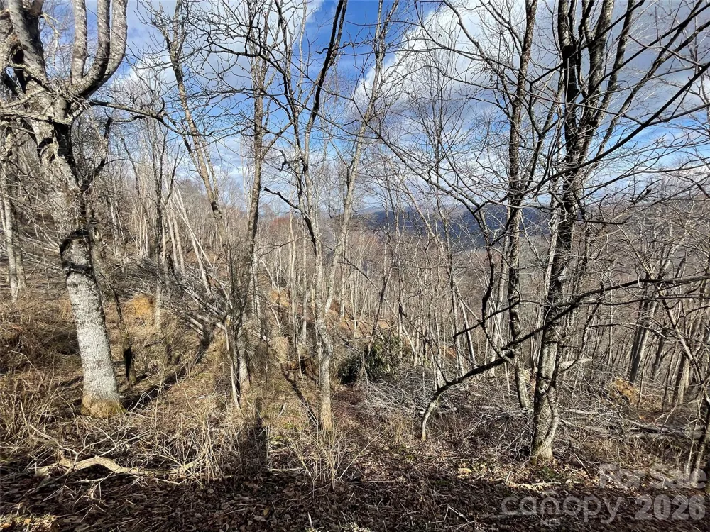 Lot #39 Ridge Top Circle Clyde, NC 28721