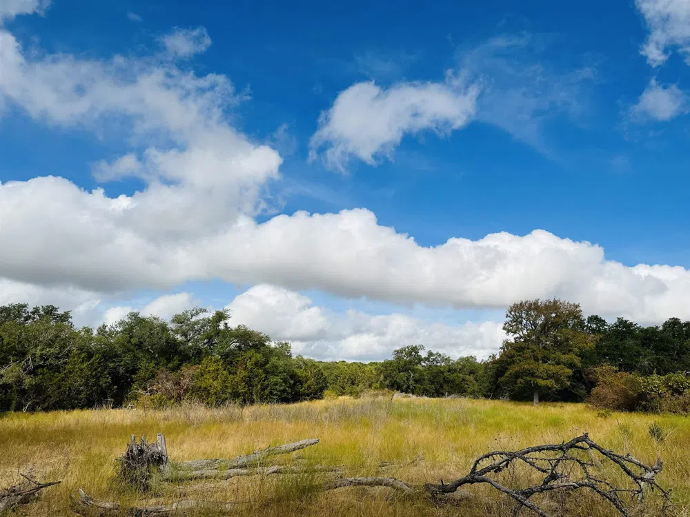 3836 County Road 336 Road