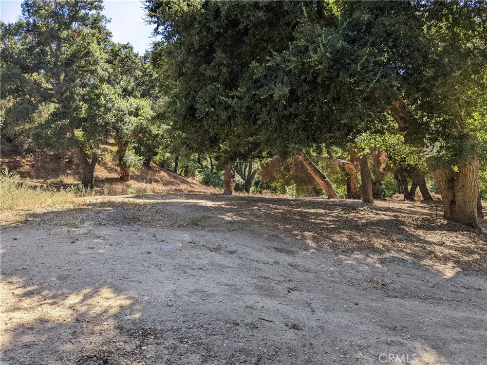 San Francisquito Cyn Road Green Valley, CA 91350