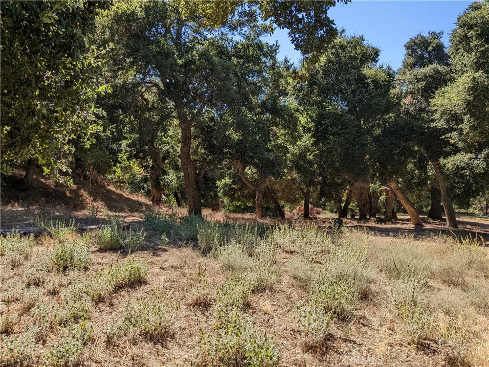 San Francisquito Cyn Road Green Valley, CA 91350