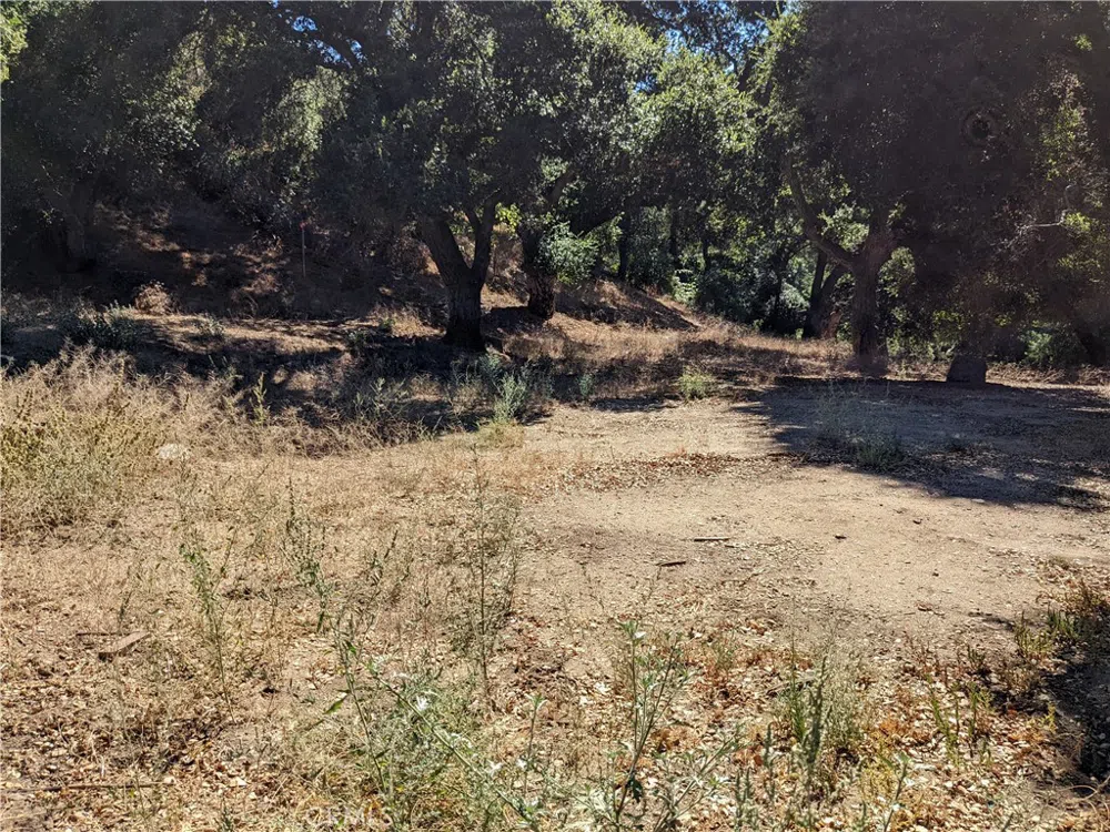 San Francisquito Cyn Road Green Valley, CA 91350