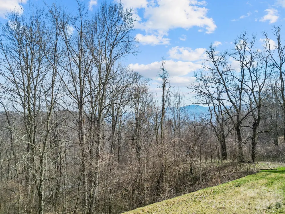 580 Freemont Drive Leicester, NC 28748