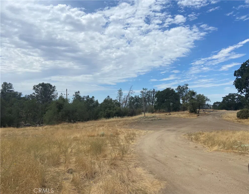 Hogans Mountain RD Coarsegold, CA 93614
