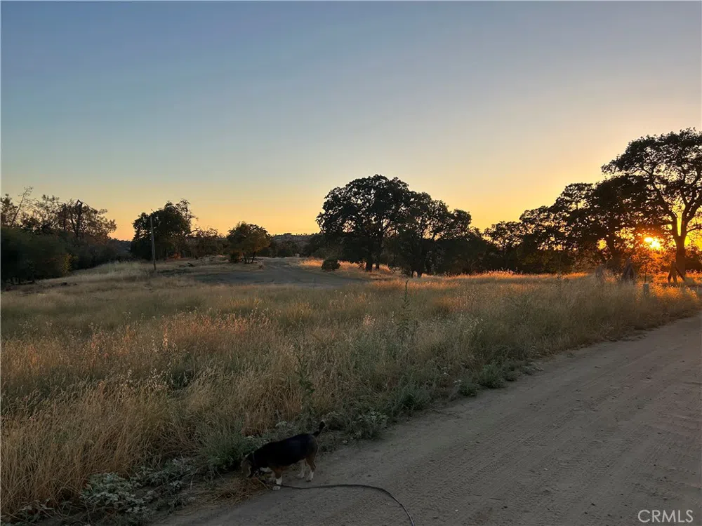 Hogans Mountain RD Coarsegold, CA 93614