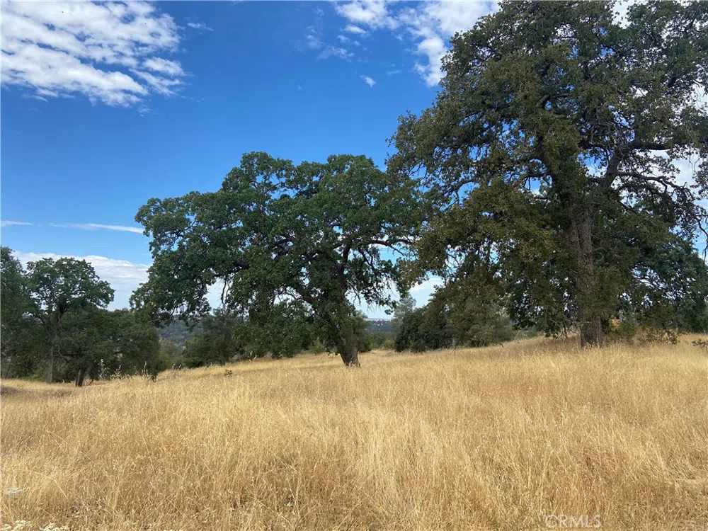 Hogans Mountain RD Coarsegold, CA 93614