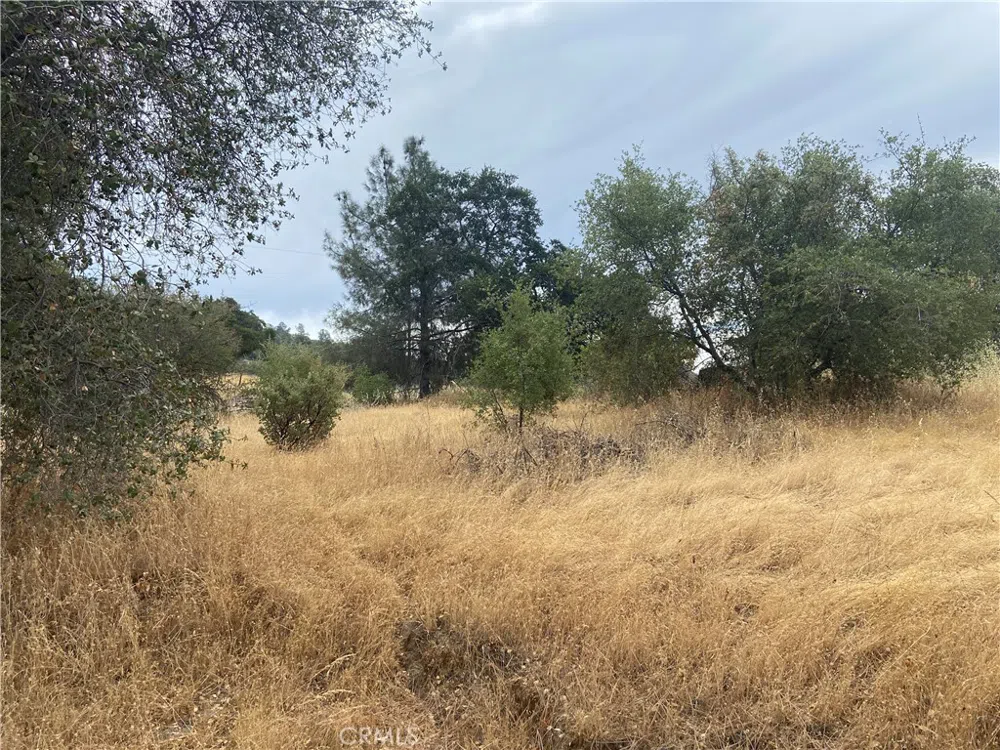 Hogans Mountain RD Coarsegold, CA 93614