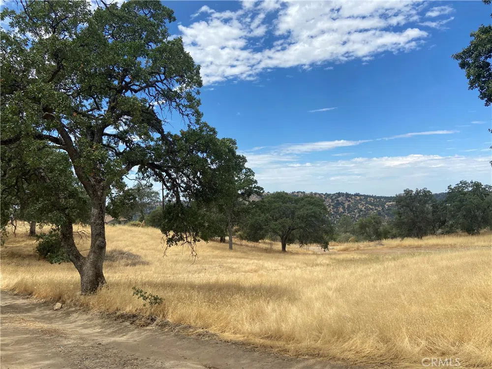 Hogans Mountain RD Coarsegold, CA 93614