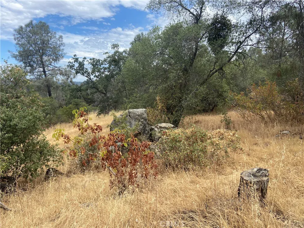Hogans Mountain RD Coarsegold, CA 93614