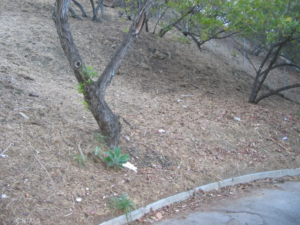 3619 Goodland Studio City, CA 91604