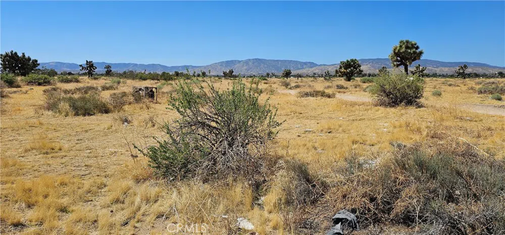 Vac/Vic Avenue M Pav /10 Stw Palmdale, CA 93551