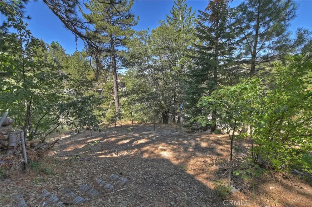 33026 Donner Lane Arrowbear, CA 92382