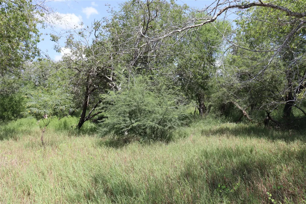 14135 County Road 1144 Sinton, TX 78387