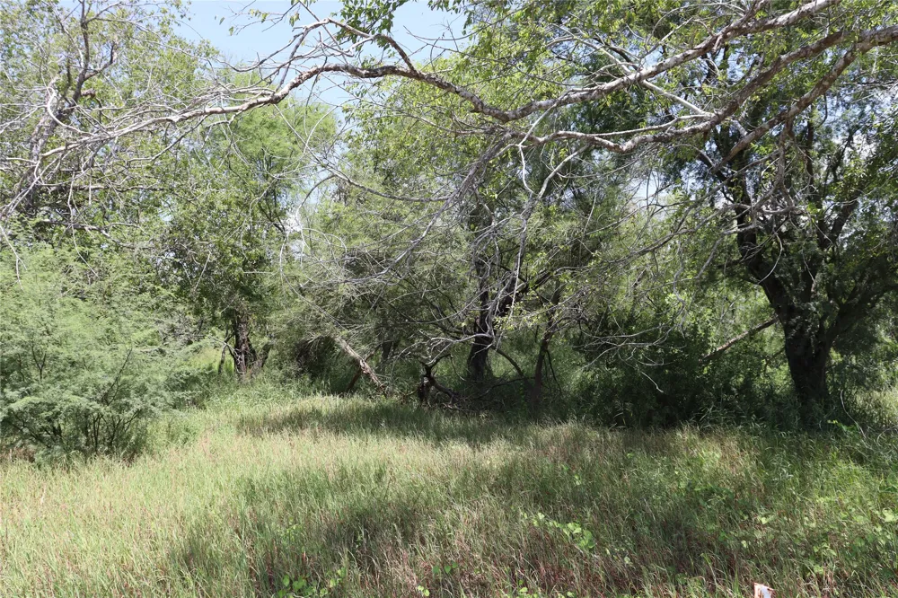 14135 County Road 1144 Sinton, TX 78387