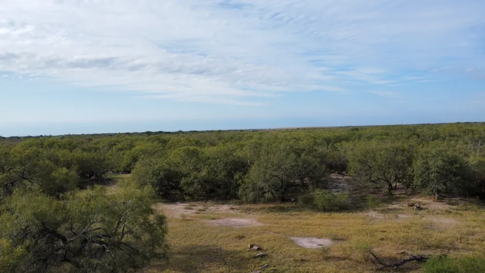 14135 County Road 1144 Sinton, TX 78387