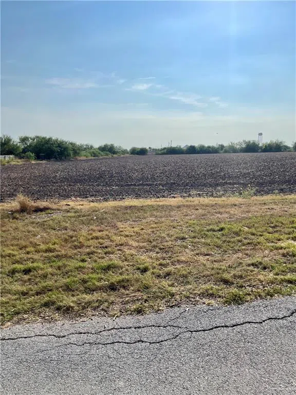 0 S Lion Lake Drive Progreso, TX 78596