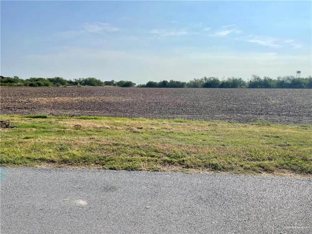 0 S Lion Lake Drive Progreso, TX 78596