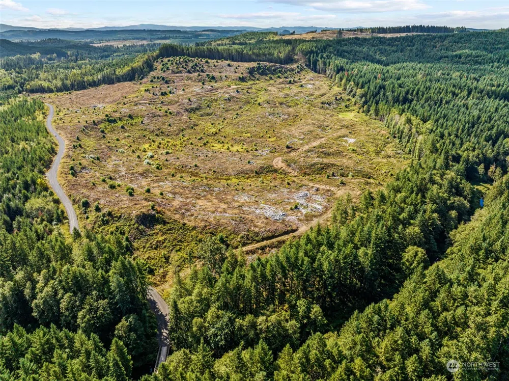 0 Salmon Creek Road Toledo, WA 98591