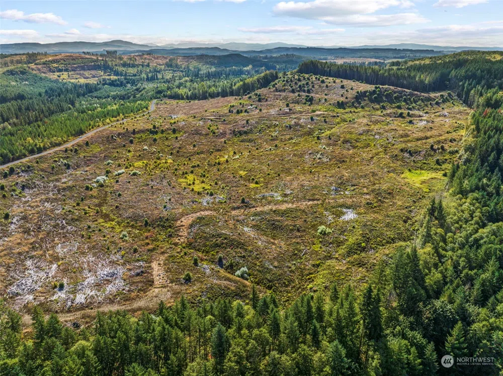 0 Salmon Creek Road Toledo, WA 98591