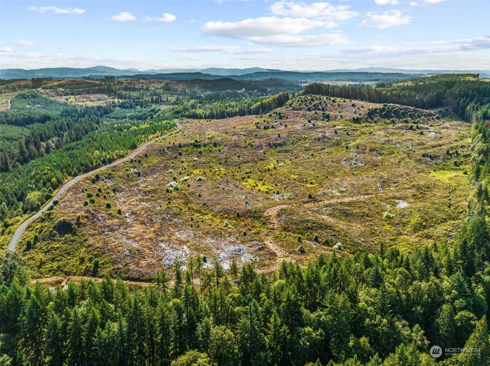 0 Salmon Creek Road Toledo, WA 98591