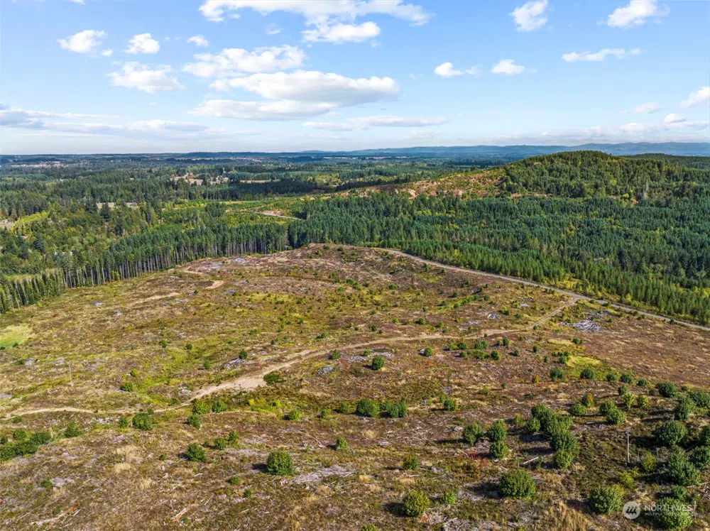 0 Salmon Creek Road Toledo, WA 98591