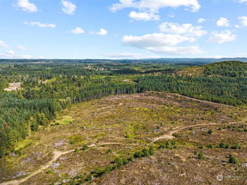0 Salmon Creek Road Toledo, WA 98591