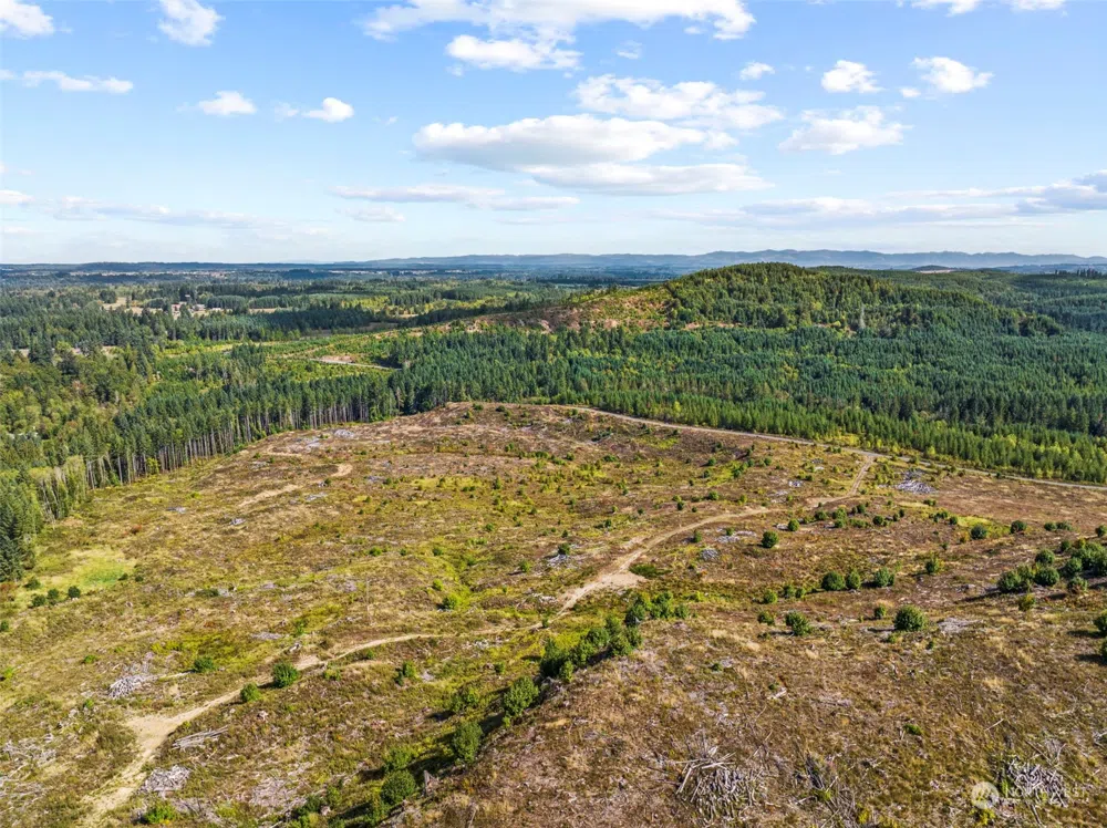 0 Salmon Creek Road Toledo, WA 98591