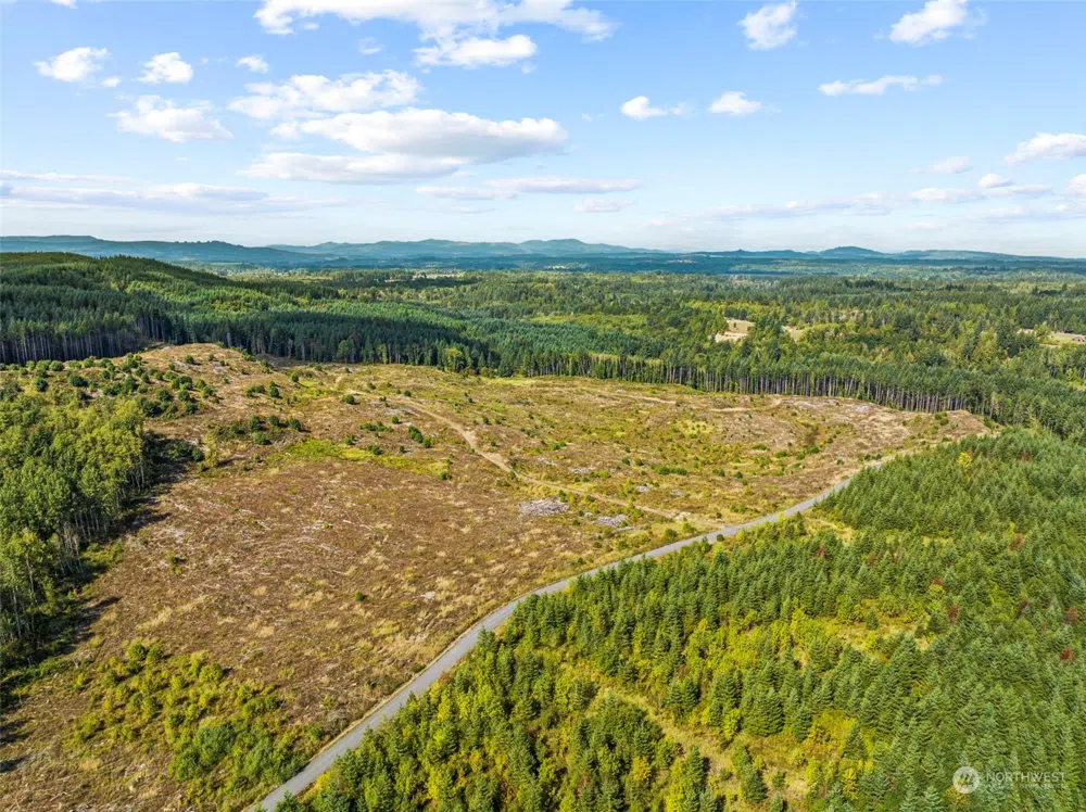 0 Salmon Creek Road Toledo, WA 98591