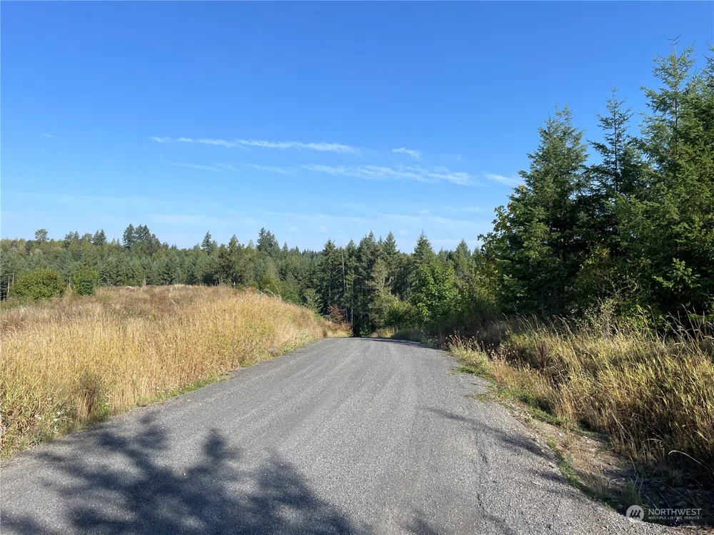 0 Salmon Creek Road Toledo, WA 98591