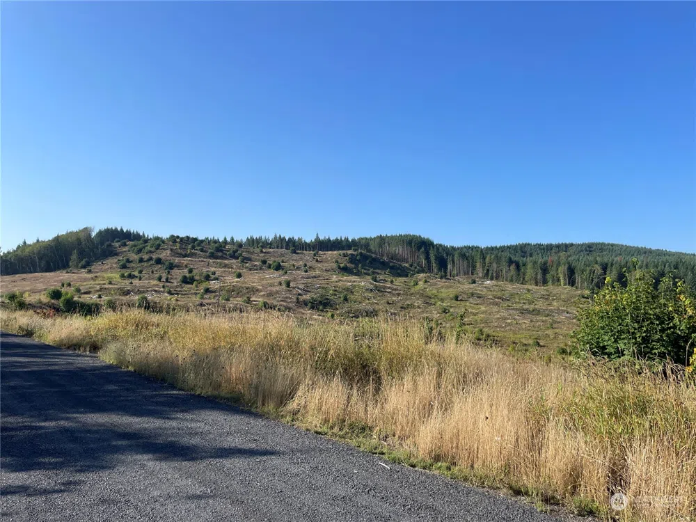 0 Salmon Creek Road Toledo, WA 98591