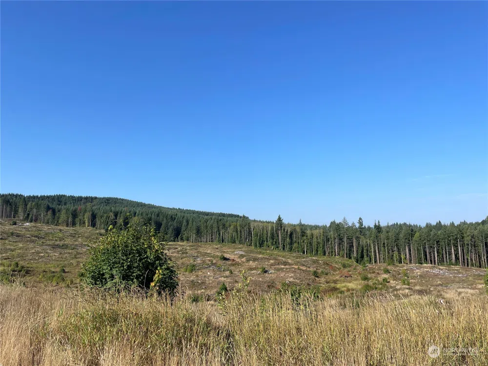 0 Salmon Creek Road Toledo, WA 98591