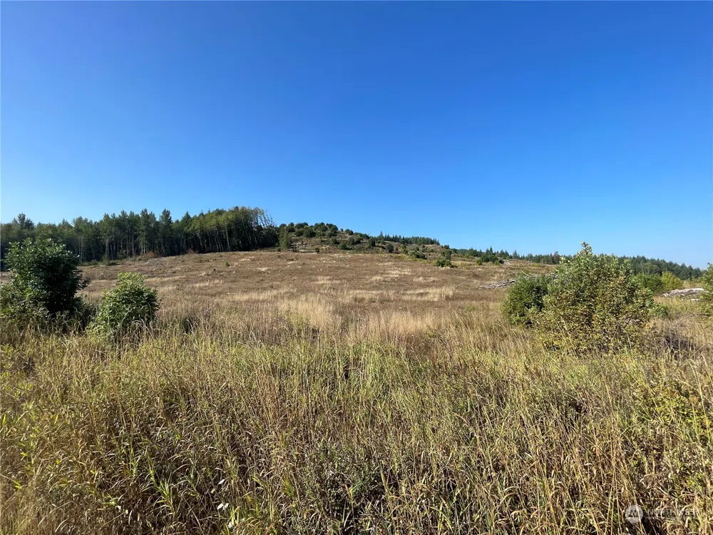 0 Salmon Creek Road Toledo, WA 98591