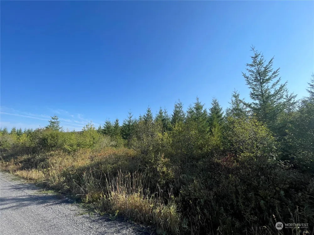 0 Salmon Creek Road Toledo, WA 98591