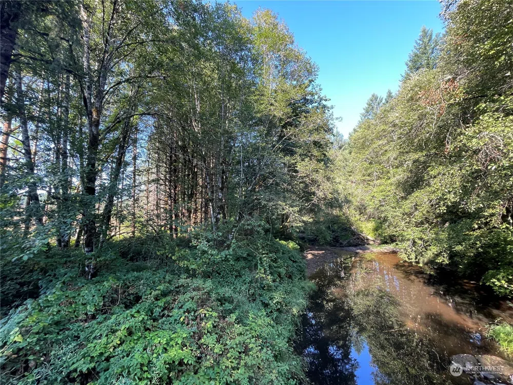 0 Salmon Creek Road Toledo, WA 98591