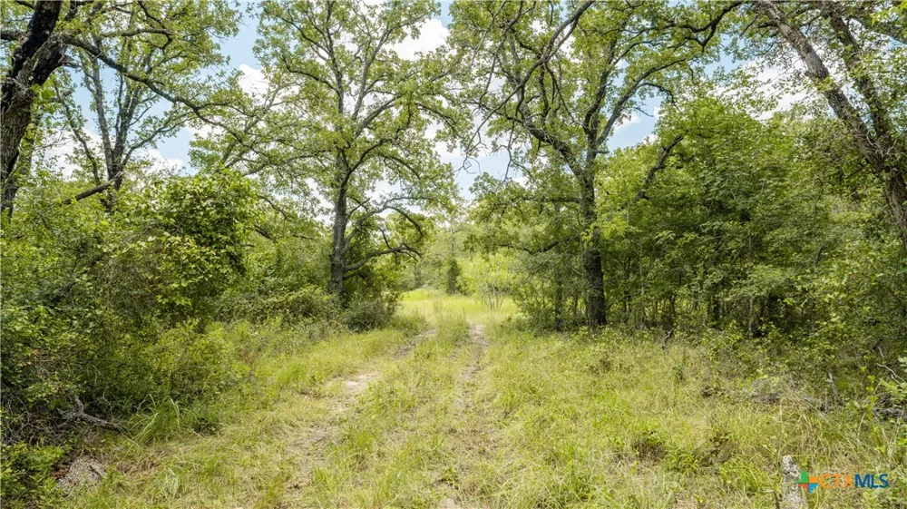 418 County Road 405 Buckholts, TX 76518