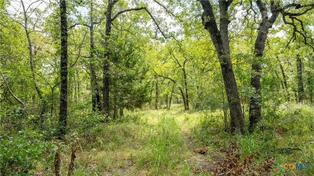 418 County Road 405 Buckholts, TX 76518