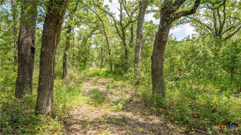 418 County Road 405 Buckholts, TX 76518