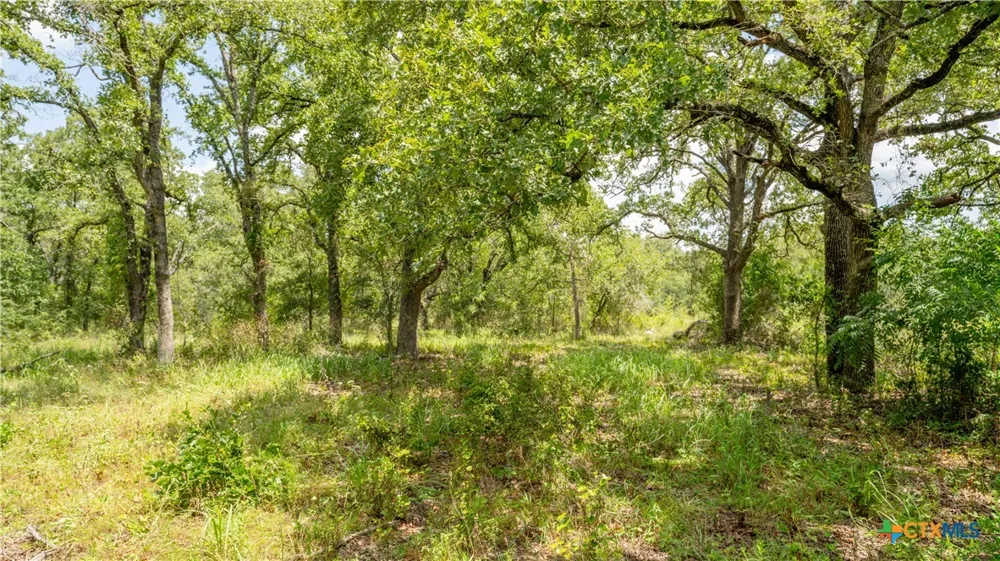 418 County Road 405 Buckholts, TX 76518