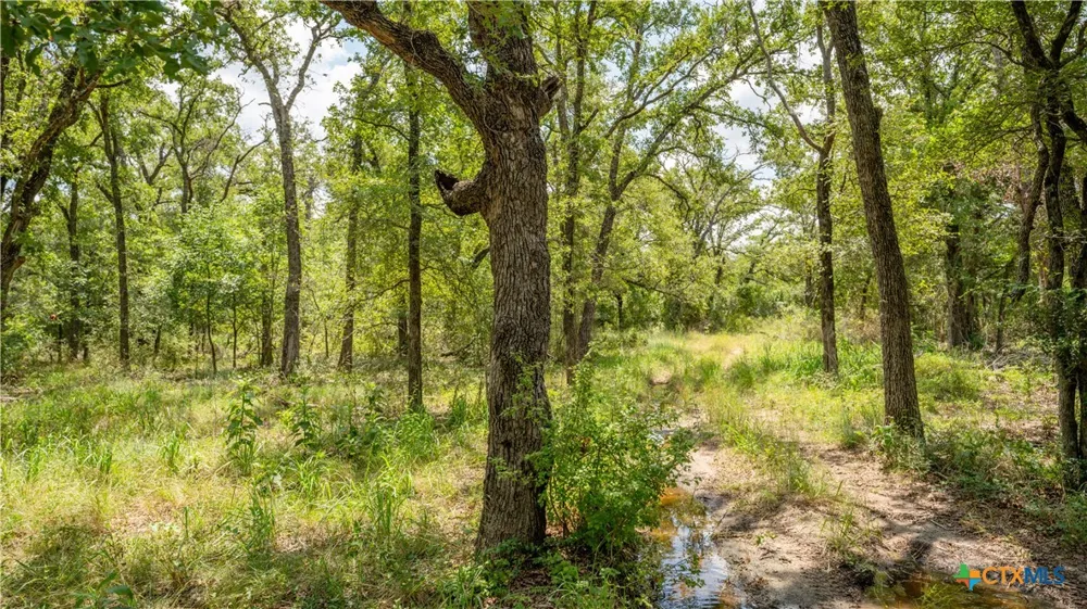 418 County Road 405 Buckholts, TX 76518