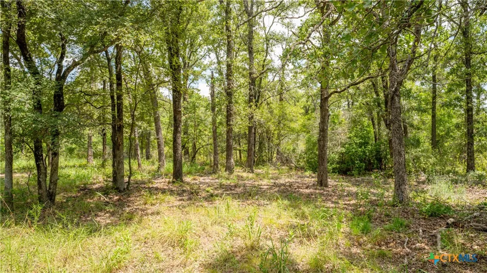 418 County Road 405 Buckholts, TX 76518