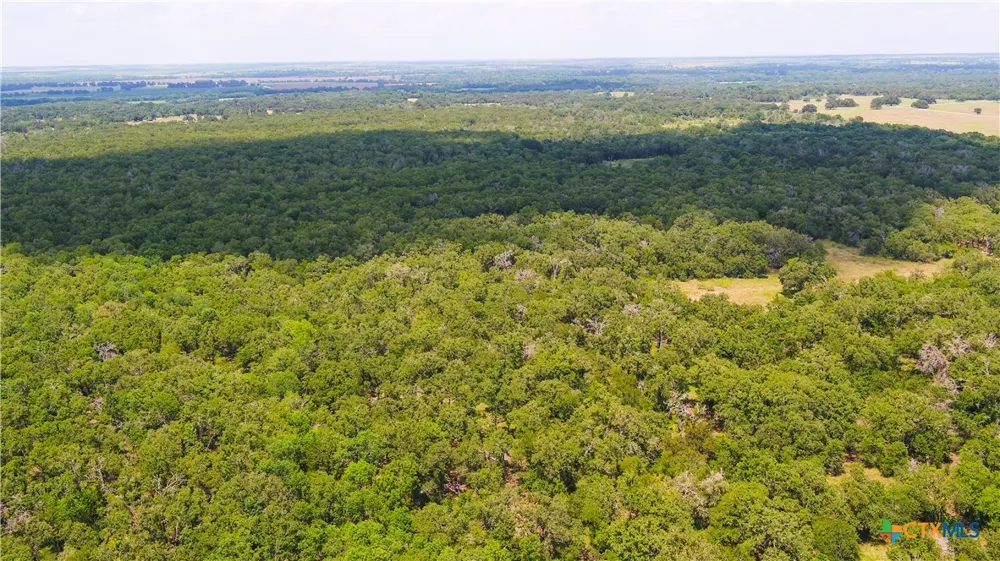418 County Road 405 Buckholts, TX 76518