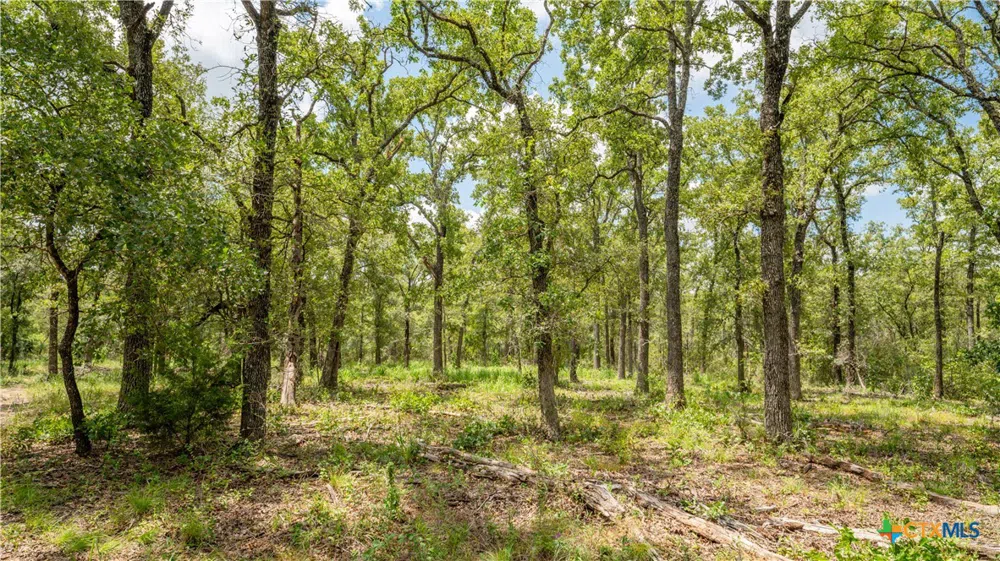 418 County Road 405 Buckholts, TX 76518