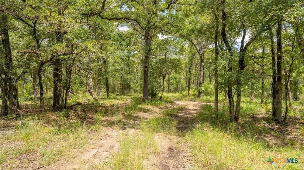 418 County Road 405 Buckholts, TX 76518