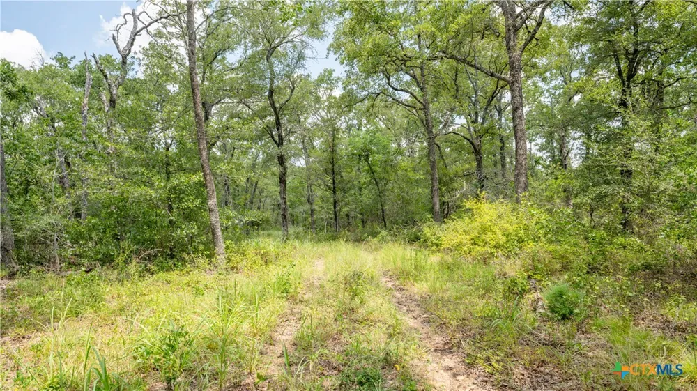 418 County Road 405 Buckholts, TX 76518