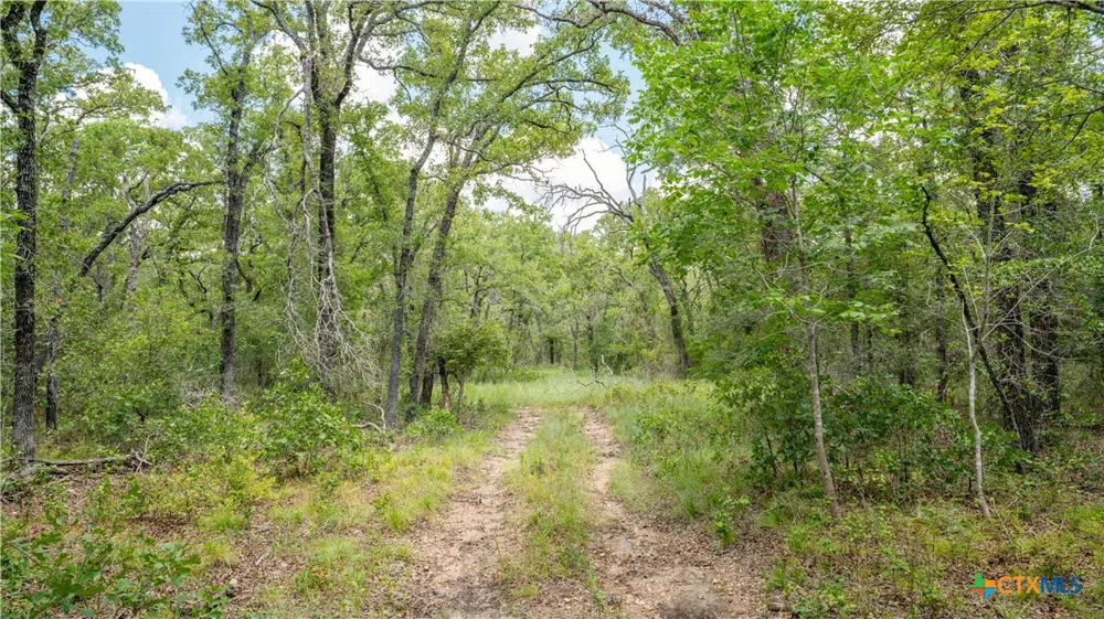 418 County Road 405 Buckholts, TX 76518