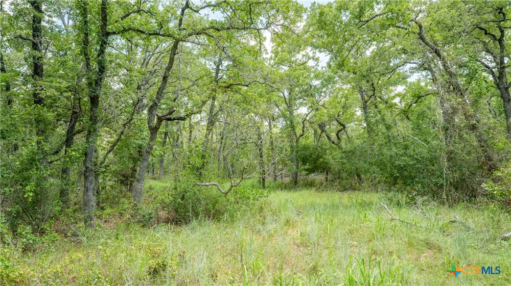418 County Road 405 Buckholts, TX 76518