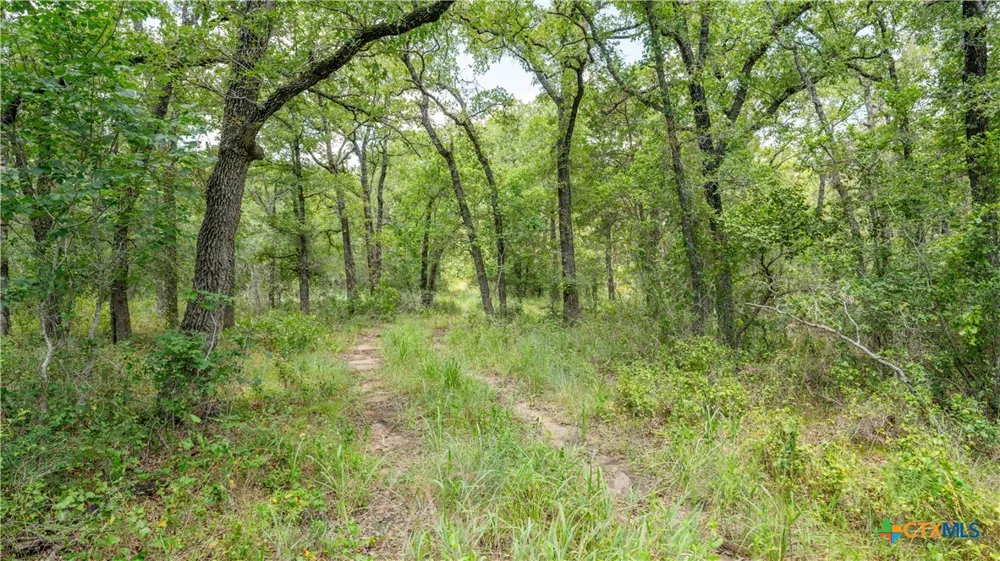 418 County Road 405 Buckholts, TX 76518