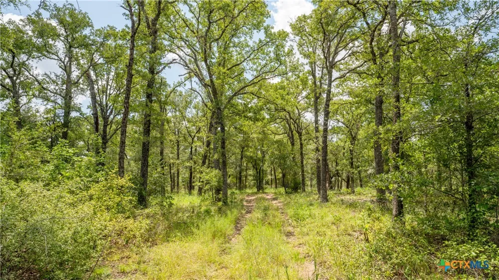418 County Road 405 Buckholts, TX 76518