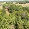 217 Private Road Crockett, TX 75835