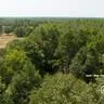217 Private Road Crockett, TX 75835